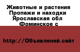 Животные и растения Пропажи и находки. Ярославская обл.,Фоминское с.